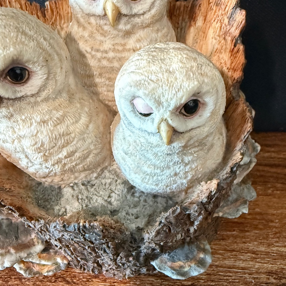 BORDER FINE ARTS Owl Figurine - Picture 6 of 16
